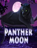 วิธีเล่นในค่าย PG สนุกทุกการหมุน