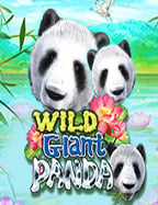 pg เว็บ ไหน แตก ดี: ทดลองเล่นเกมสล็อตแตกง่าย